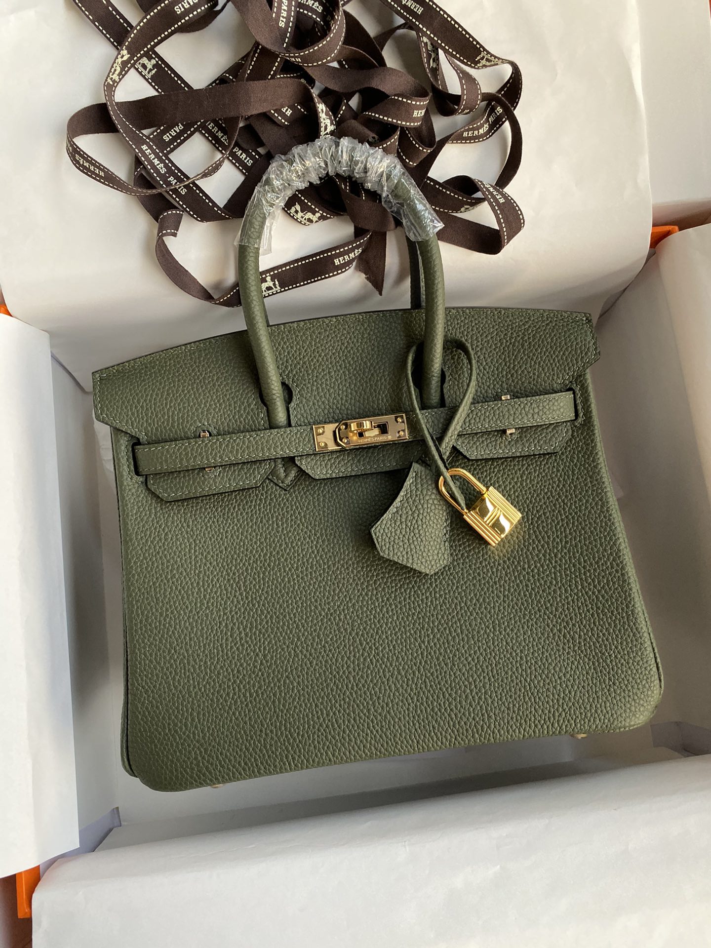 Hermes Birkin 25CM Togo Leather Handbag Forest Green